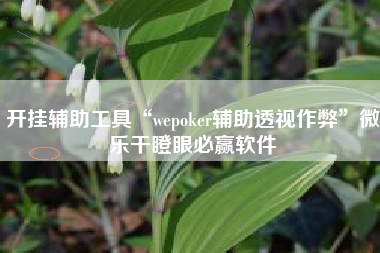 开挂辅助工具“wepoker辅助透视作弊”微乐干瞪眼必赢软件