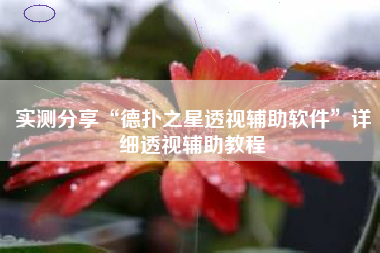 实测分享“德扑之星透视辅助软件”详细透视辅助教程