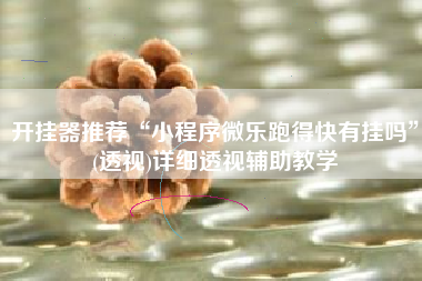 开挂器推荐“小程序微乐跑得快有挂吗”(透视)详细透视辅助教学