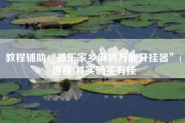 教程辅助“微乐家乡麻将万能开挂器”(透视)其实确实有挂