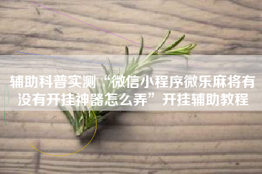 辅助科普实测“微信小程序微乐麻将有没有开挂神器怎么弄”开挂辅助教程