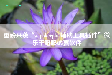重磅来袭“wepokerplus辅助工具插件”微乐干瞪眼必赢软件