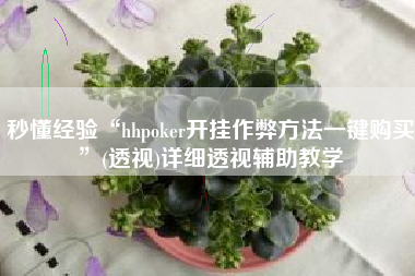 秒懂经验“hhpoker开挂作弊方法一键购买	”(透视)详细透视辅助教学
