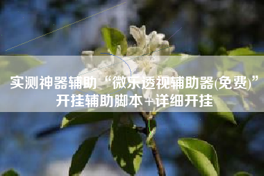 实测神器辅助“微乐透视辅助器(免费)”开挂辅助脚本+详细开挂