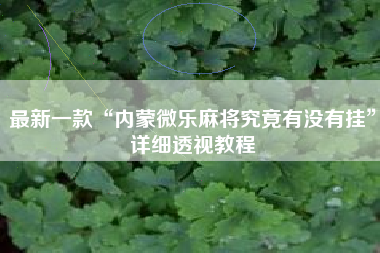 最新一款“内蒙微乐麻将究竟有没有挂	”详细透视教程