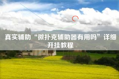真实辅助“微扑克辅助器有用吗	”详细开挂教程