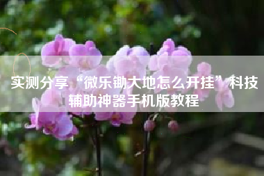 实测分享“微乐锄大地怎么开挂”科技辅助神器手机版教程