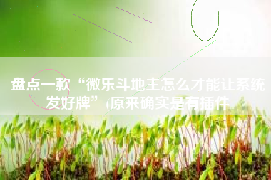 盘点一款“微乐斗地主怎么才能让系统发好牌”(原来确实是有插件