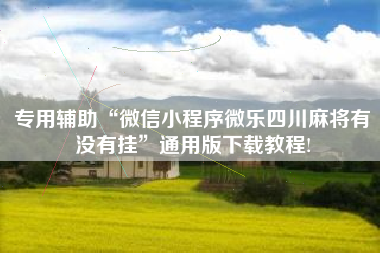 专用辅助“微信小程序微乐四川麻将有没有挂	”通用版下载教程!