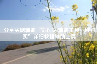 分享实测辅助“WePoKer辅助工具一键购买”详细教程辅助工具