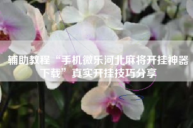 辅助教程“手机微乐河北麻将开挂神器下载”真实开挂技巧分享