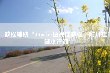 教程辅助“AApoker透视挂教程	”附开挂脚本详细