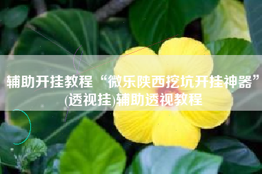 辅助开挂教程“微乐陕西挖坑开挂神器”(透视挂)辅助透视教程
