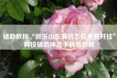 辅助教程“微乐山东麻将怎样免费开挂	”科技辅助神器手机版教程