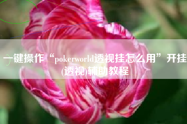 一键操作“pokerworld透视挂怎么用	”开挂(透视)辅助教程