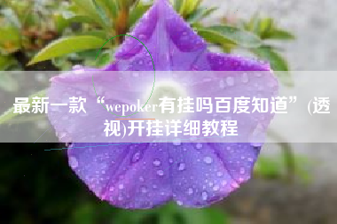 最新一款“wepoker有挂吗百度知道	”(透视)开挂详细教程