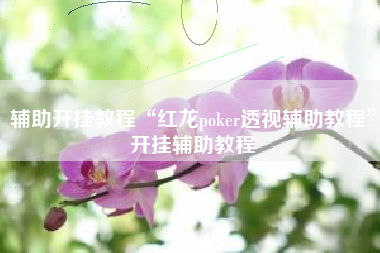 辅助开挂教程“红龙poker透视辅助教程”开挂辅助教程