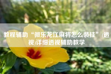 教程辅助“微乐龙江麻将怎么装挂	”(透视)详细透视辅助教学