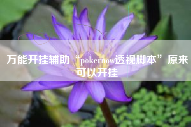 万能开挂辅助“pokernow透视脚本”原来可以开挂