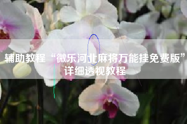 辅助教程“微乐河北麻将万能挂免费版	”详细透视教程