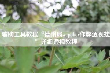 辅助工具教程“德州局wepoker作弊透视挂”详细透视教程