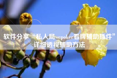 软件分享“私人局wepoker看牌辅助插件”详细透视辅助方法