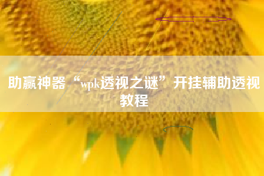 助赢神器“wpk透视之谜”开挂辅助透视教程