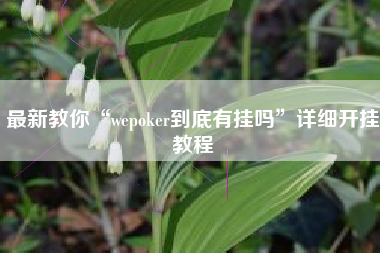 最新教你“wepoker到底有挂吗”详细开挂教程