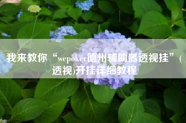 我来教你“wepoker德州辅助器透视挂”(透视)开挂详细教程