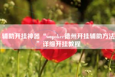 辅助开挂神器“wepoker德州开挂辅助方法”详细开挂教程