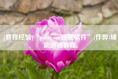 [教程经验]“pokernow透视软件	”(作弊)辅助透视教程