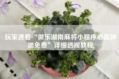 玩家速看“微乐湖南麻将小程序必赢神器免费”详细透视教程