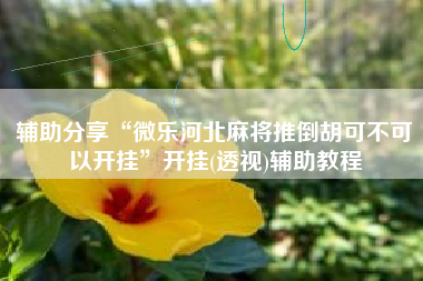 辅助分享“微乐河北麻将推倒胡可不可以开挂	”开挂(透视)辅助教程