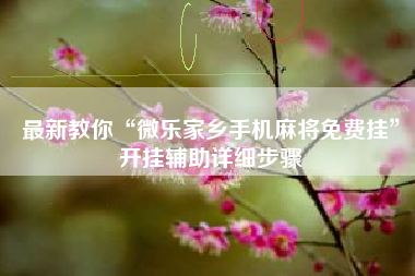 最新教你“微乐家乡手机麻将免费挂”开挂辅助详细步骤