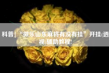 科普|“微乐山东麻将有没有挂”开挂(透视)辅助教程!