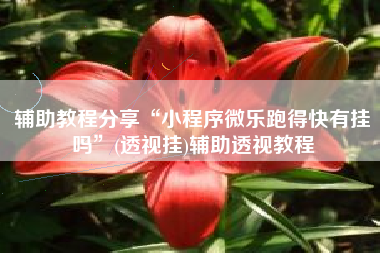 辅助教程分享“小程序微乐跑得快有挂吗	”(透视挂)辅助透视教程