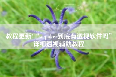 教程更新!“wepoker到底有透视软件吗	”详细透视辅助教程