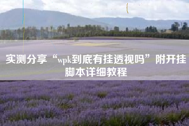 实测分享“wpk到底有挂透视吗”附开挂脚本详细教程