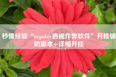 秒懂经验“wepoker透视作弊软件	”开挂辅助脚本+详细开挂