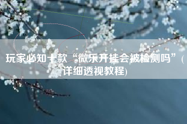 玩家必知十款“微乐开挂会被检测吗”(详细透视教程)
