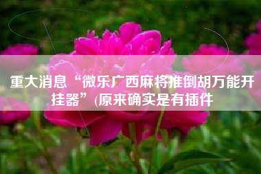 重大消息“微乐广西麻将推倒胡万能开挂器”(原来确实是有插件