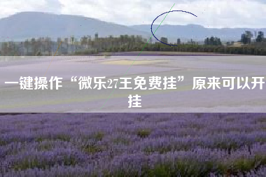 一键操作“微乐27王免费挂	”原来可以开挂