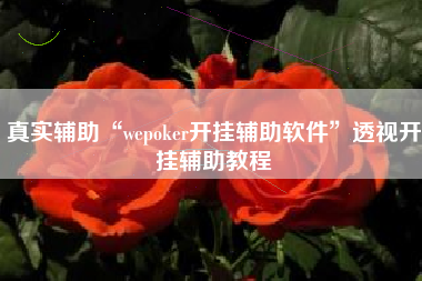 真实辅助“wepoker开挂辅助软件	”透视开挂辅助教程