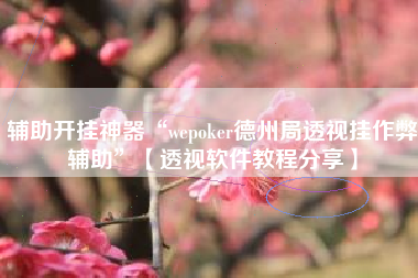 辅助开挂神器“wepoker德州局透视挂作弊辅助	”【透视软件教程分享】