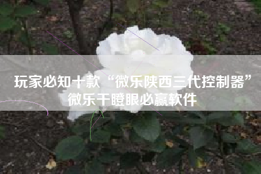 玩家必知十款“微乐陕西三代控制器”微乐干瞪眼必赢软件