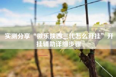 实测分享“微乐陕西三代怎么开挂”开挂辅助详细步骤