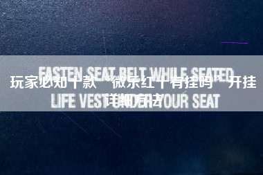 玩家必知十款“微乐红十有挂吗”开挂详细方法