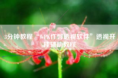 3分钟教程“WPK作弊透视软件	”透视开挂辅助教程