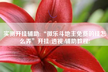 实测开挂辅助:“微乐斗地主免费的挂怎么弄”开挂(透视)辅助教程!