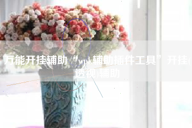 万能开挂辅助“wpk辅助插件工具	”开挂(透视)辅助